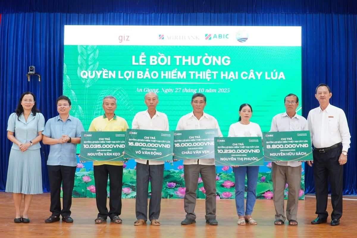 Dự phòng bảo hiểm thiệt hại cây lúa từ ABIC, nông dân an tâm sản xuất