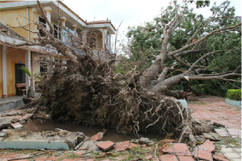 Điều khoản hợp đồng bảo hiểm không rõ ràng, phải ưu tiên bên yếu thế