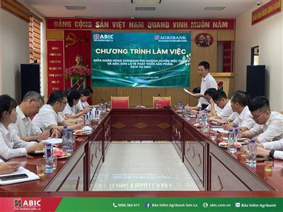 BẢO HIỂM AGRIBANK SƠN LA – AGRIBANK MỘC CHÂU SƠN LA: THAY ĐỔI ĐỂ VƯƠN XA