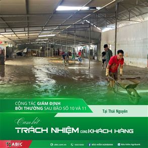 Bảo hiểm Agribank: &quot;Đi từng ngõ, gõ từng nhà&quot; giữ trọn chữ tín sau thiên tai