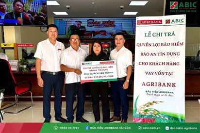 BẢO AN TÍN DỤNG – CHỖ DỰA VỮNG CHẮC CHO KHÁCH HÀNG VAY VỐN