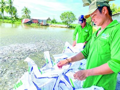 Tín dụng và bảo hiểm hậu thuẫn vùng nguyên liệu