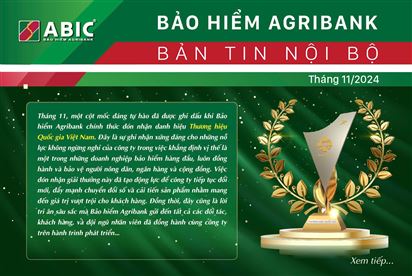 BẢN TIN NỘI BỘ THÁNG 11/2024