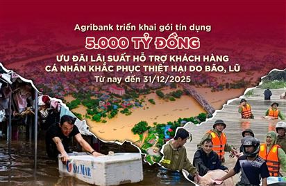 Thủ tướng khen ngành ngân hàng kịp thời hỗ trợ người dân sau bão lũ, Agribank nổi bật vai trò tiên phong